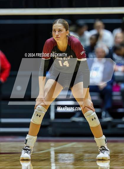 Thumbnail 3 in McKinney North vs. Flour Bluff (UIL 5A Volleyball Division I Final) photogallery.