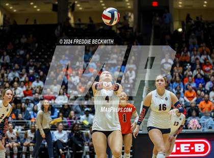 Thumbnail 3 in McKinney North vs. Flour Bluff (UIL 5A Volleyball Division I Final) photogallery.
