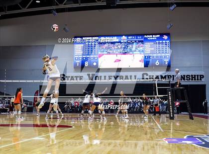 Thumbnail 1 in McKinney North vs. Flour Bluff (UIL 5A Volleyball Division I Final) photogallery.