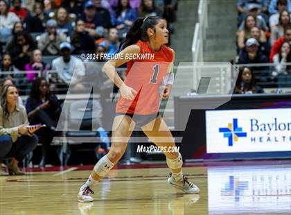 Thumbnail 1 in McKinney North vs. Flour Bluff (UIL 5A Volleyball Division I Final) photogallery.