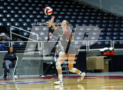 Thumbnail 2 in McKinney North vs. Flour Bluff (UIL 5A Volleyball Division I Final) photogallery.