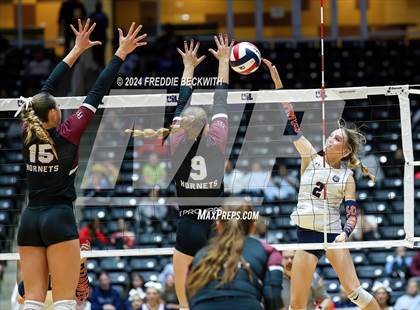 Thumbnail 3 in McKinney North vs. Flour Bluff (UIL 5A Volleyball Division I Final) photogallery.