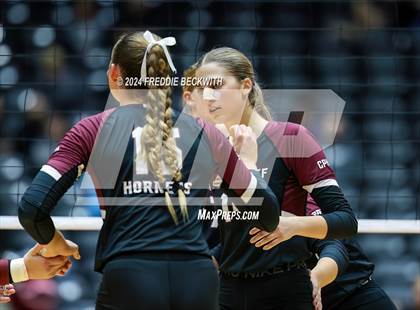 Thumbnail 2 in McKinney North vs. Flour Bluff (UIL 5A Volleyball Division I Final) photogallery.