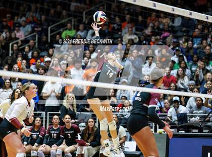 Thumbnail 2 in McKinney North vs. Flour Bluff (UIL 5A Volleyball Division I Final) photogallery.