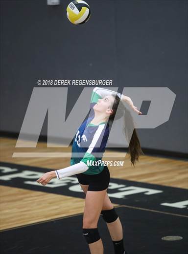 null - Photo 01