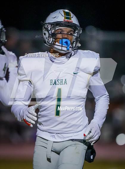 Thumbnail 1 in Basha @ Casteel photogallery.