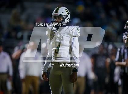 Thumbnail 3 in Basha @ Casteel photogallery.