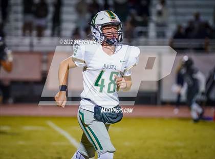 Thumbnail 3 in Basha @ Casteel photogallery.