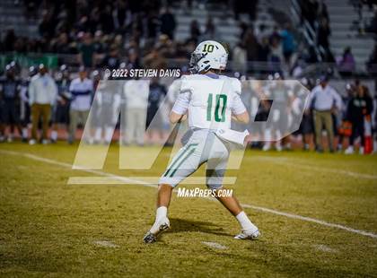 Thumbnail 1 in Basha @ Casteel photogallery.