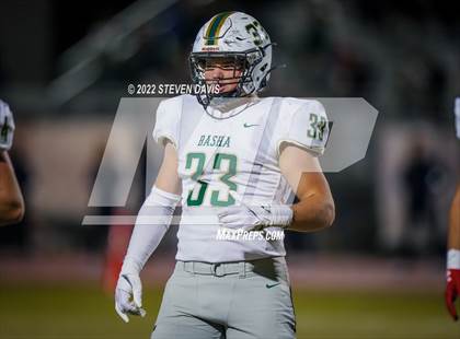 Thumbnail 1 in Basha @ Casteel photogallery.