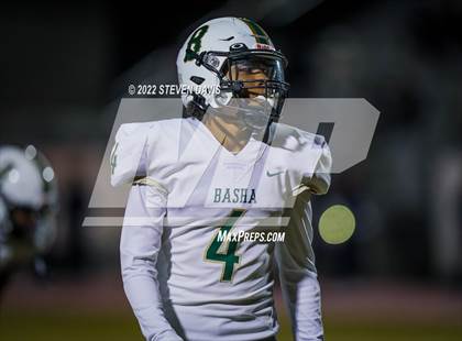 Thumbnail 2 in Basha @ Casteel photogallery.