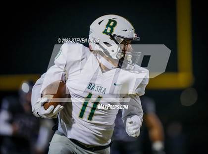 Thumbnail 1 in Basha @ Casteel photogallery.