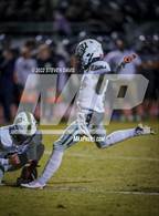 Photo from the gallery "Basha @ Casteel"