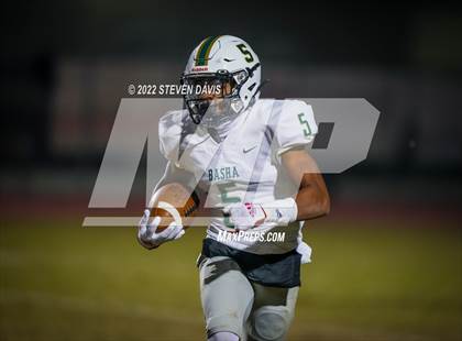 Thumbnail 3 in Basha @ Casteel photogallery.