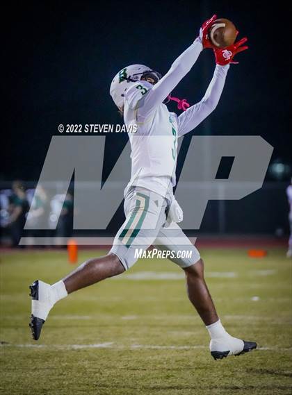 Thumbnail 3 in Basha @ Casteel photogallery.