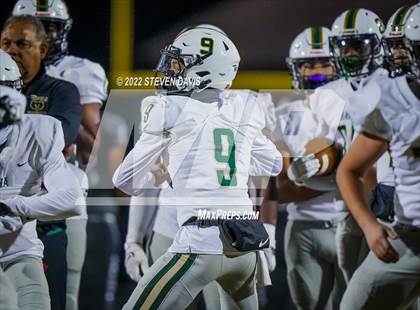 Thumbnail 1 in Basha @ Casteel photogallery.