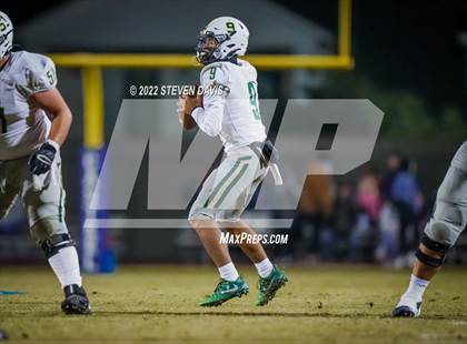 Thumbnail 2 in Basha @ Casteel photogallery.