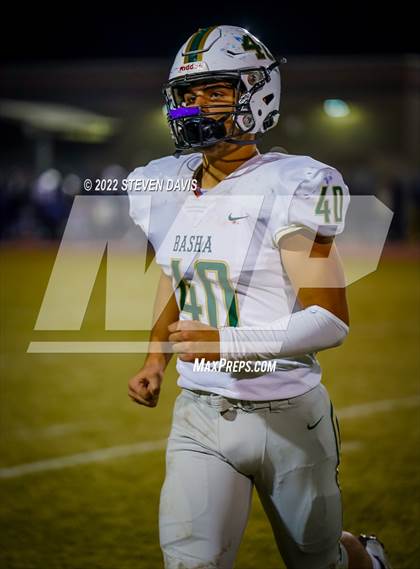 Thumbnail 3 in Basha @ Casteel photogallery.