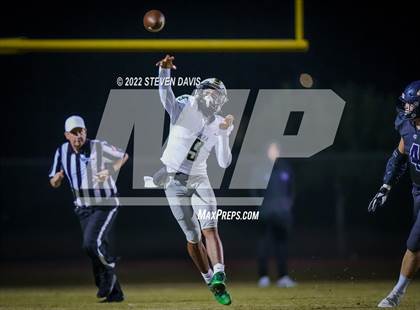 Thumbnail 2 in Basha @ Casteel photogallery.