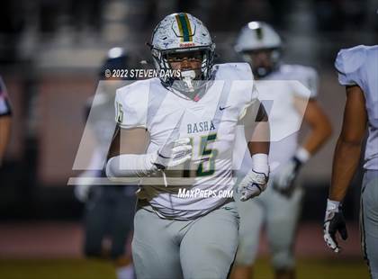 Thumbnail 3 in Basha @ Casteel photogallery.