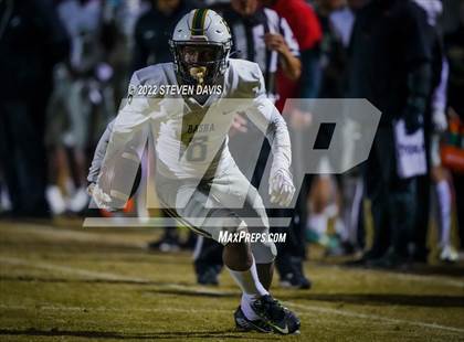 Thumbnail 1 in Basha @ Casteel photogallery.
