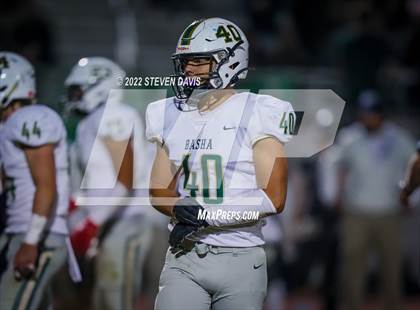 Thumbnail 3 in Basha @ Casteel photogallery.