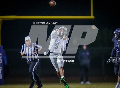 Thumbnail 3 in Basha @ Casteel photogallery.