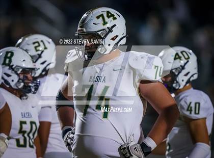 Thumbnail 1 in Basha @ Casteel photogallery.