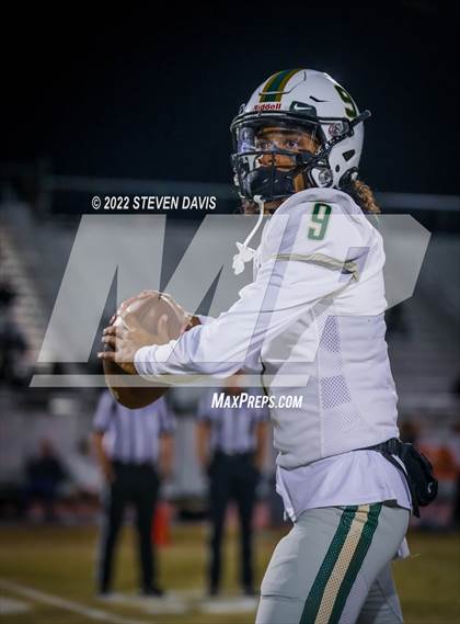 Thumbnail 2 in Basha @ Casteel photogallery.