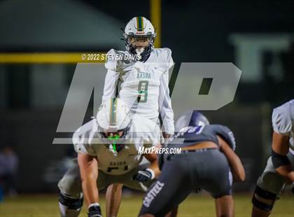 Thumbnail 3 in Basha @ Casteel photogallery.