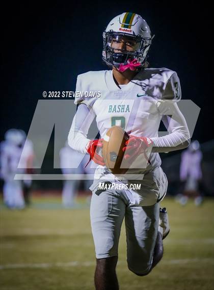 Thumbnail 2 in Basha @ Casteel photogallery.