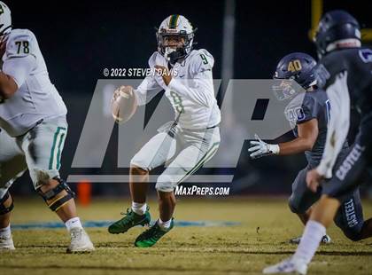 Thumbnail 3 in Basha @ Casteel photogallery.