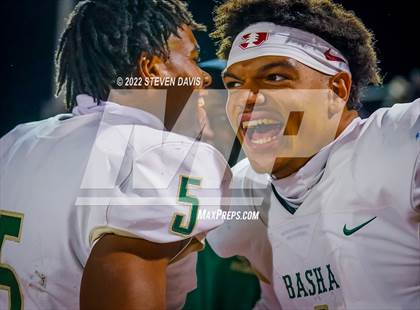 Thumbnail 3 in Basha @ Casteel photogallery.