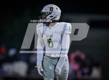 Thumbnail 1 in Basha @ Casteel photogallery.