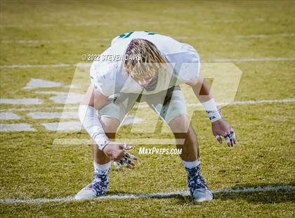 Thumbnail 1 in Basha @ Casteel photogallery.