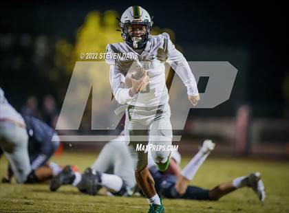 Thumbnail 1 in Basha @ Casteel photogallery.