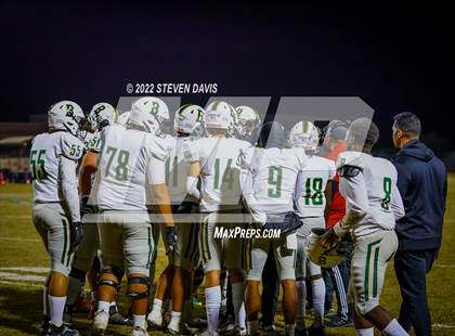 Thumbnail 2 in Basha @ Casteel photogallery.
