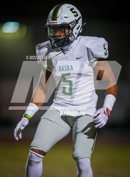 Thumbnail 3 in Basha @ Casteel photogallery.