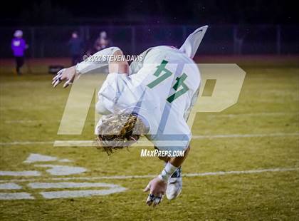 Thumbnail 1 in Basha @ Casteel photogallery.