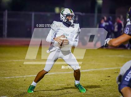 Thumbnail 1 in Basha @ Casteel photogallery.