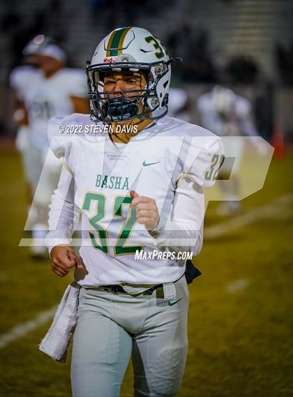 Thumbnail 2 in Basha @ Casteel photogallery.