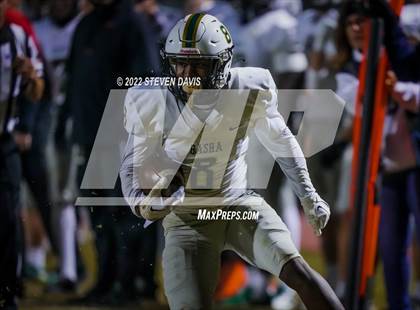 Thumbnail 1 in Basha @ Casteel photogallery.
