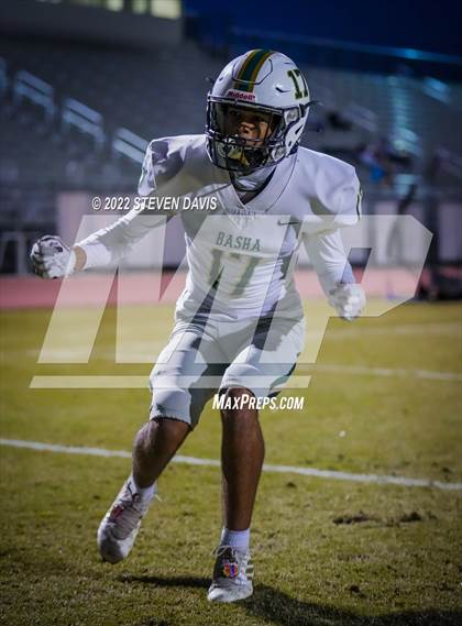 Thumbnail 3 in Basha @ Casteel photogallery.