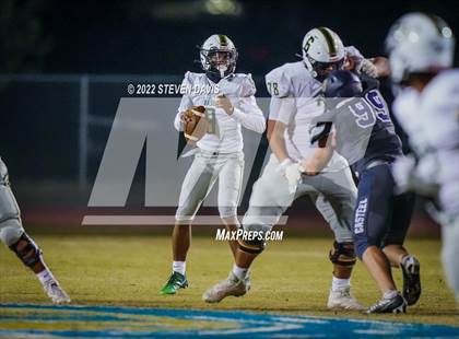 Thumbnail 1 in Basha @ Casteel photogallery.