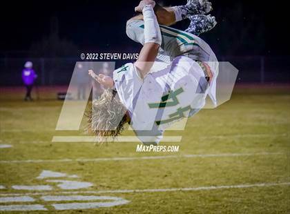 Thumbnail 1 in Basha @ Casteel photogallery.