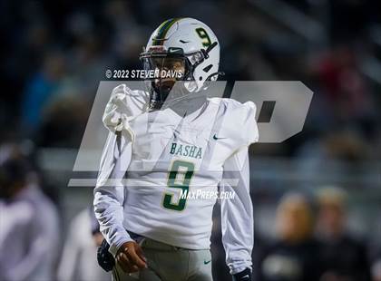 Thumbnail 2 in Basha @ Casteel photogallery.