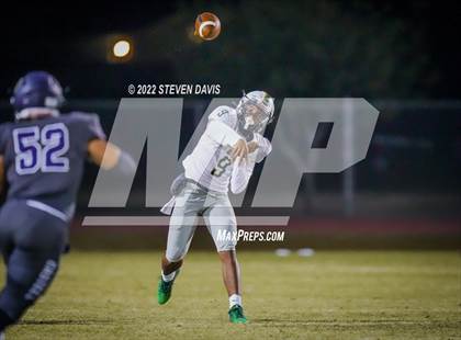 Thumbnail 2 in Basha @ Casteel photogallery.