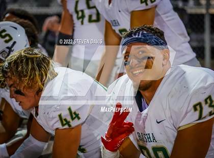 Thumbnail 1 in Basha @ Casteel photogallery.