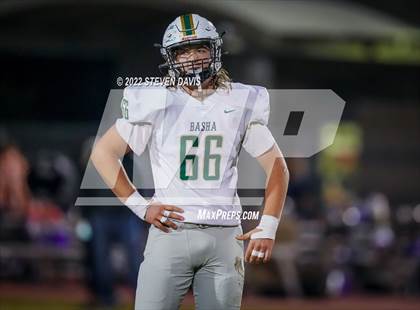 Thumbnail 3 in Basha @ Casteel photogallery.