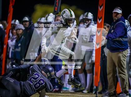 Thumbnail 2 in Basha @ Casteel photogallery.